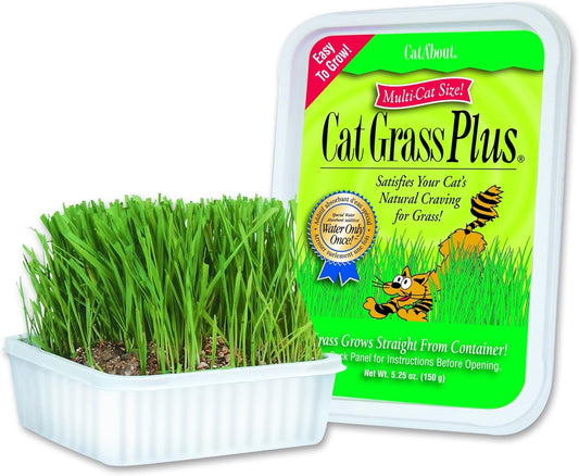 PurrFect Cat Grass - Hairball Control